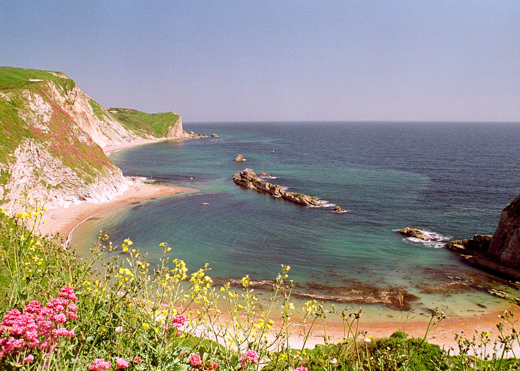 Man o' War Cove Print