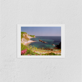 Man o' War Cove Print